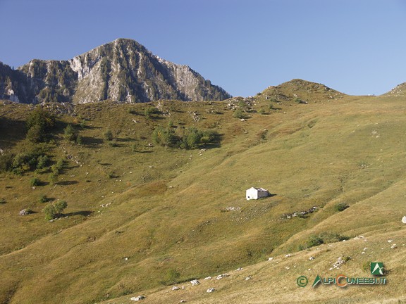 15 - Gli splendidi pendii pascolivi attraversati dal sentiero; sullo sfondo, la vetta del Monte Fantino (2009)