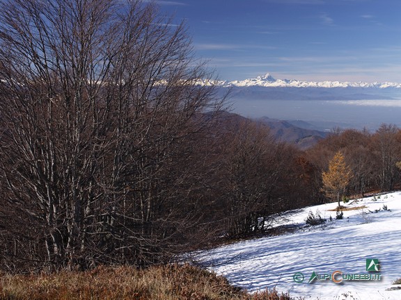 8 - Il Monviso dalla vetta del Monte Alpet (2010)