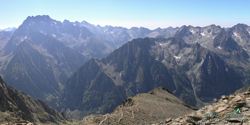 17 - Il Massiccio dell'Argentera, sullo sfondo a sinistra, dai pressi del Colle di Valmiana (2010)