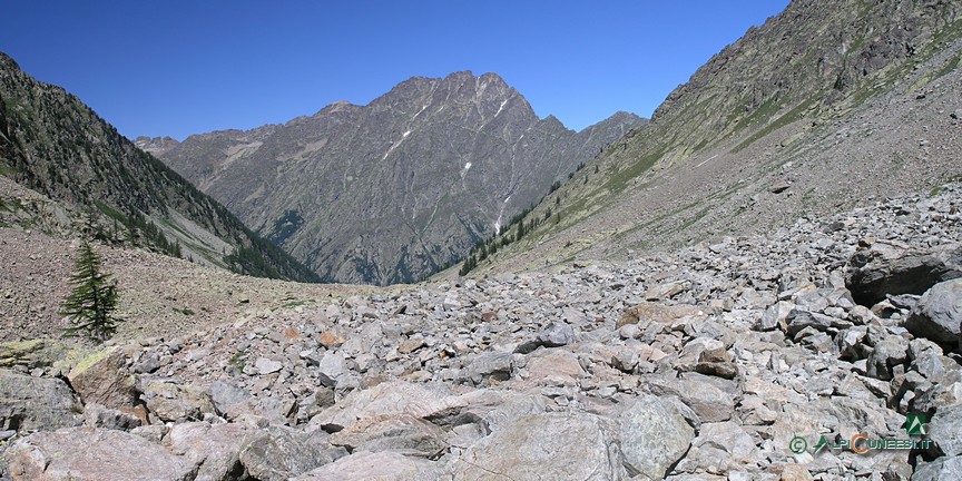 7 - I macereti attraversati dal sentiero nell'alto Vallone di Lourousa (2011)