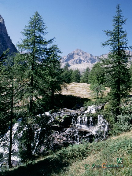 4 - La cascatella all'imbocco di Pian del Valasco (1998)