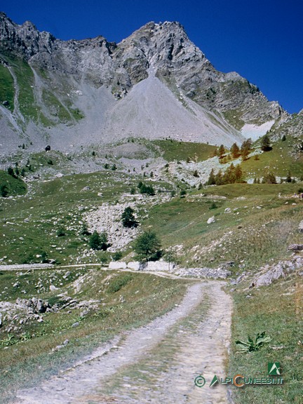 3 - Il Monte Freid domina sulla rotabile ex militare 195 (2004)