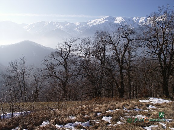 8 - I castagneti a valle di Tetti Baudinet (2007)
