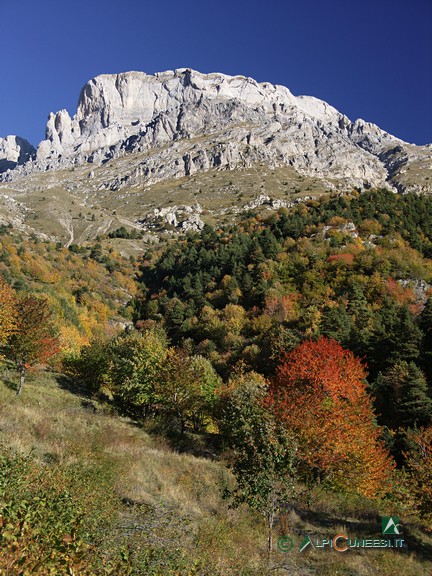 3 - Il Monte Mongioie da sopra Viozene (2006)