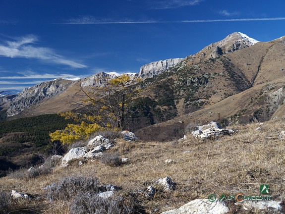 2 - Panorama verso il Bric di Conoia e il Mongioie dal crinale alle spalle di Biranco (2011)
