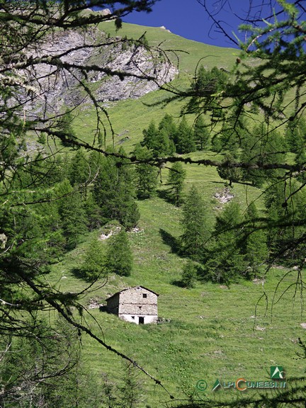 2 - Grangia Candia, sulle pendici del Monte Peyron (2008)