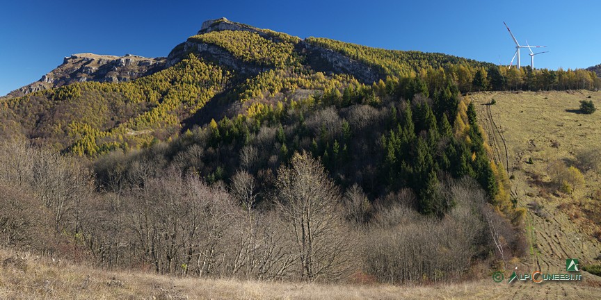 3 - Panorama dal Bric Castagnino verso il Monte della Guardia (2016)
