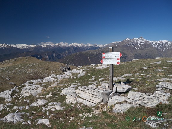 7 - Panorama sulle Alpi Liguri dai pressi della vetta del Monte Armetta (2017)
