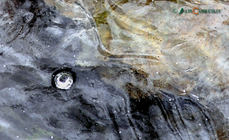Valle Tanaro: un buco nell'acqua... (2010)