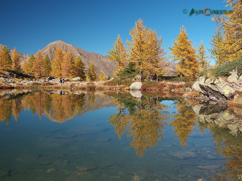 Valle Stura: larici in veste autunnale si specchiano nel Lago della Sauma (2021)