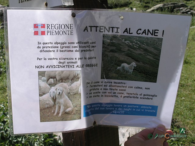 Un avviso sui cani da guardianìa Un avviso sui cani da guardianìa