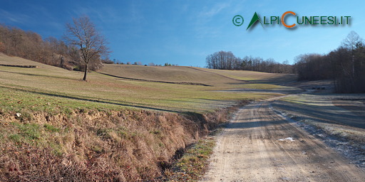 25.01 Di albero in albero, percorso letteratura: Strada Provinciale 111 - Area Attrezzata della Riserva Sorgenti del Belbo - Strada Provinciale 111