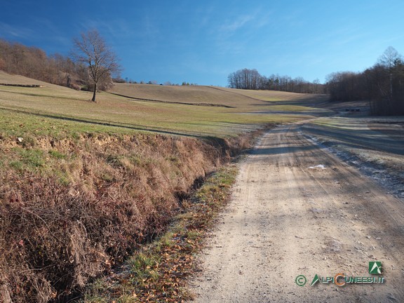 2 - Un tratto di strada sterrata tra arrotondati declivi (2021)