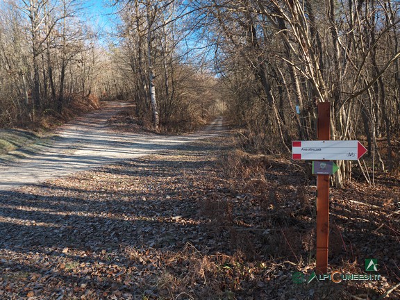 3 - Il trivio dove si abbandona la strada sterrata per entrare nel bosco (2021)