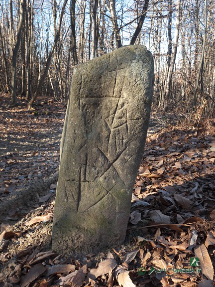 5 - Il piccolo menhir ricco di incisioni non lontano dalla vetta del Bric Biolà (2021)