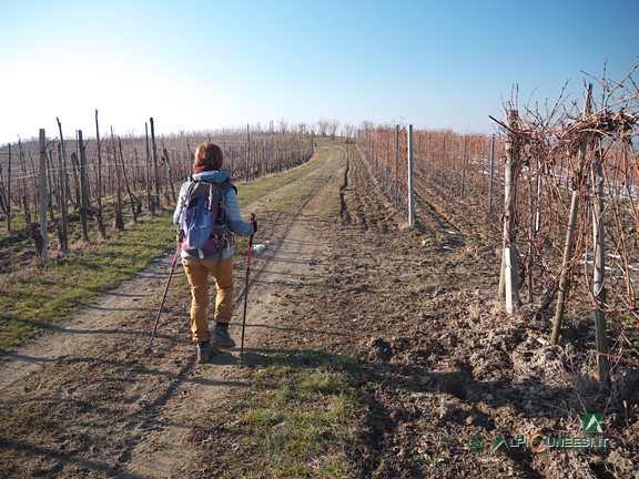 9 - Un piacevolissimo tratto tra i vigneti dopo le Case Corsaletto (2021)