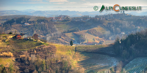 Escursioni tra Langhe e Roero