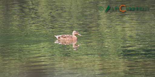 26.02 Ingresso di Crava dell'Oasi di Crava Morozzo - Lago di Morozzo - Lago di Crava - Ingresso di Crava dell'Oasi di Crava Morozzo