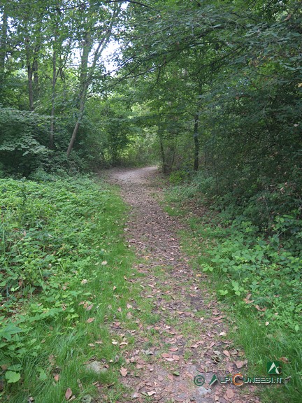 1 - Il tratto di sentiero nella parte iniziale del percorso (2021)