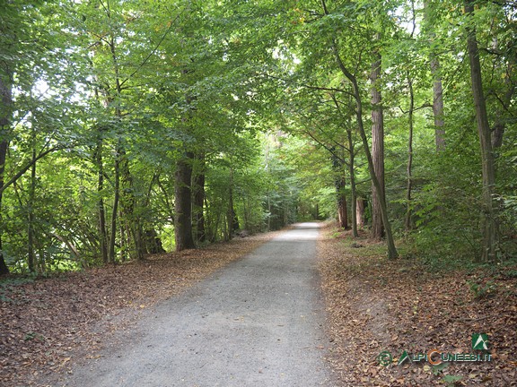 5 - Un tratto di strada sterrata tra il Centro Visite della LIPU e la Foresteria dell'Oasi (2021)