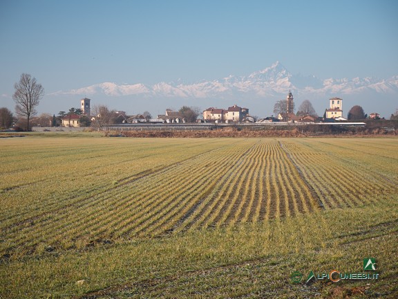 5 - Cavallerleone con il Monviso sullo sfondo (2022)