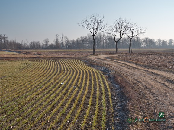 6 - Un tratto di strada sterrata tra i campi (2022)