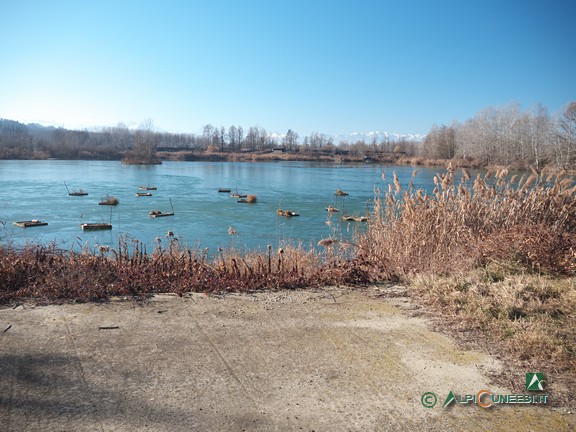 5 - Uno dei due bacini lacustri presenti all'interno dell'Oasi naturalistica La Madonnina (2022)