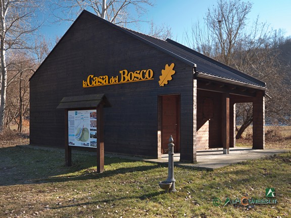 10 - La Casa nel Bosco (2022)