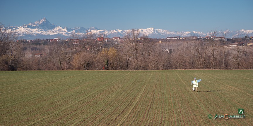 12 - Uno spaventapasseri si gode il panorama... (2022)