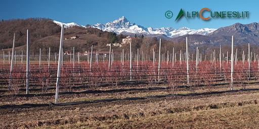 Escursioni in Valle Bronda