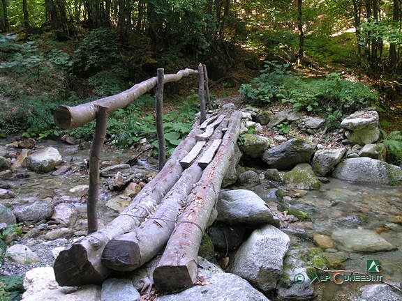 4 - La passerella in tronchi che attraversa il Rio di Moscardina (2010)