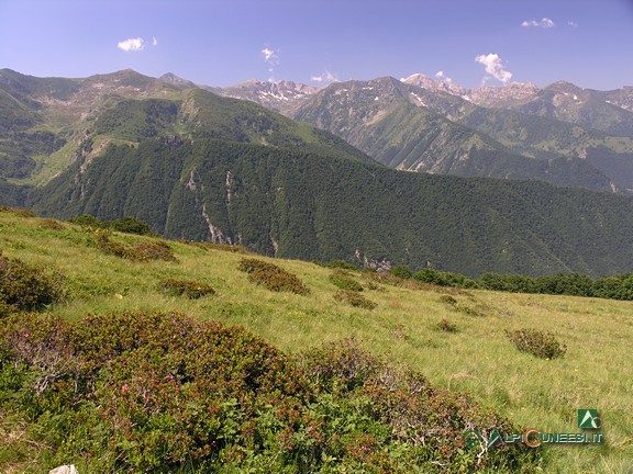 1 - La testata della Valle Corsaglia dal sentiero per il Monte Baussetti (2011)
