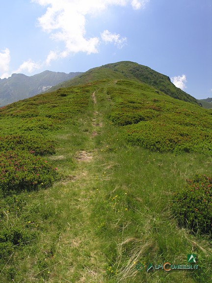 2 - L'ultimo tratto del sentiero che sale al Monte Baussetti, al centro della foto (2011)
