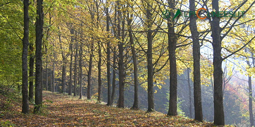 Escursioni in Valle Casotto