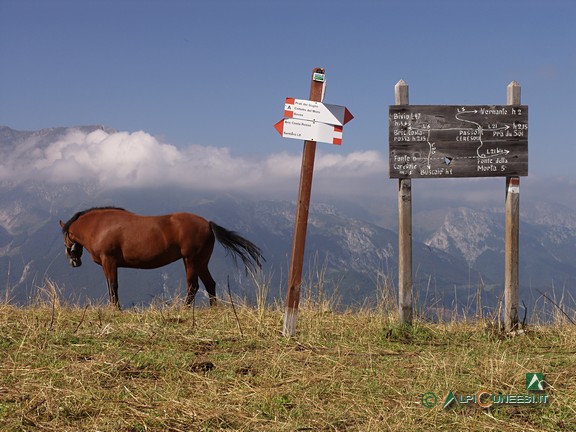 3 - L'ampia sella prativa nei pressi del Passo Ceresole (2009)