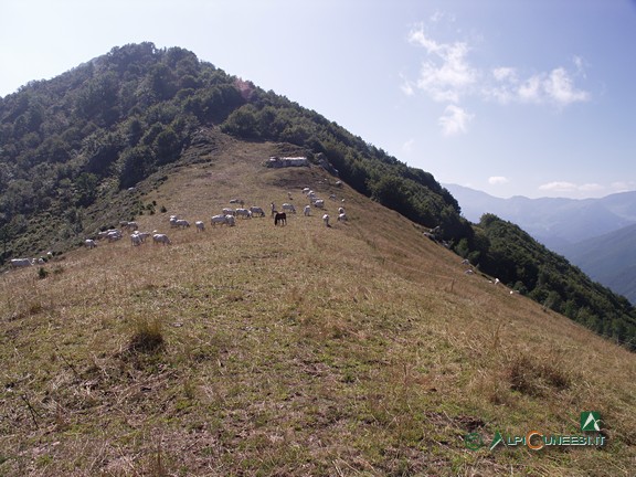 5 - La sella prativa nei pressi del Passo Ceresole (2009)