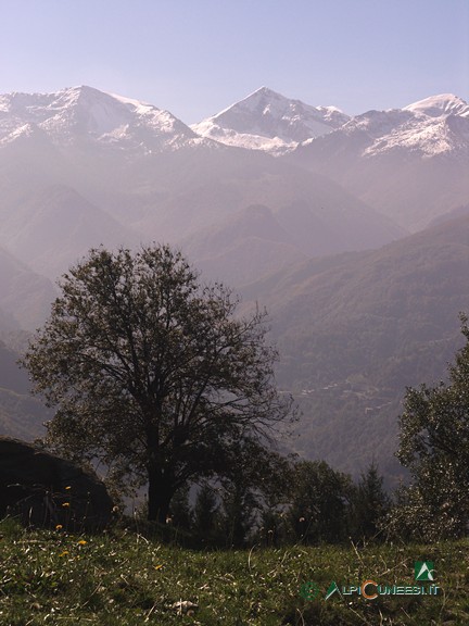 2 - Panorama salendo verso Case Rosa (2005)