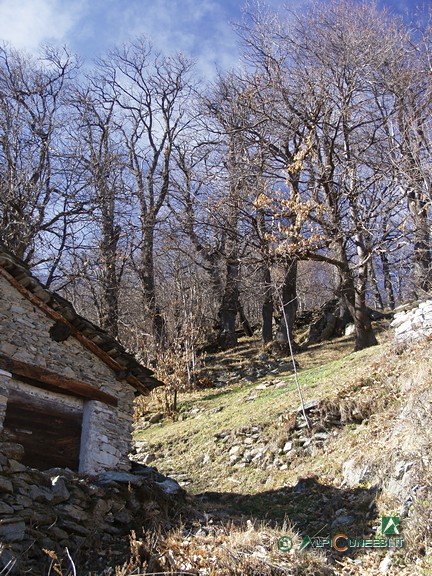 12 - Mundinot, abitazione ai margini del castagneto (2007)
