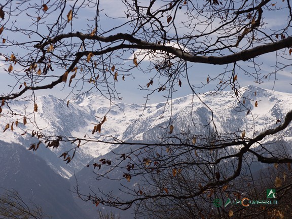 7 - Le vette dell'Alta Val Tanaro dai pressi del Colle di Mora (2008)