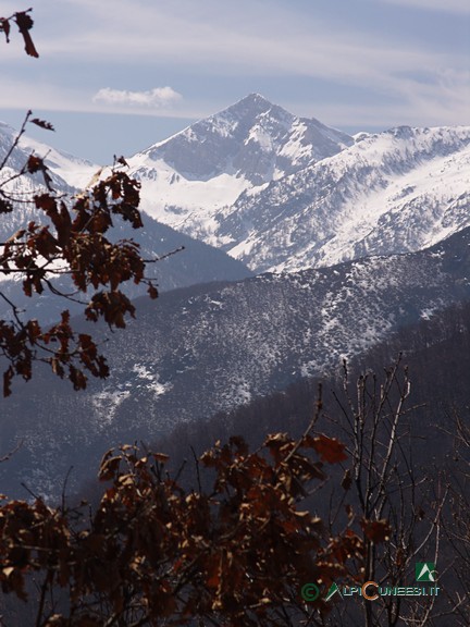 9 - Il Monte Mongioie dal Colle di Mora (2008)