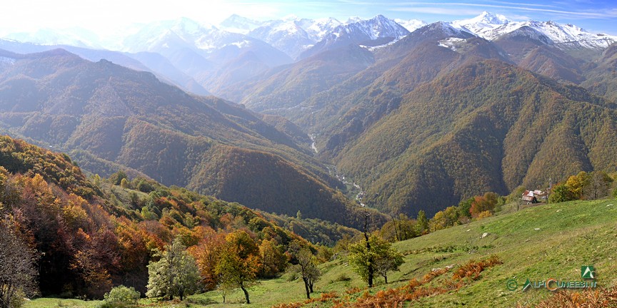 17 - Panorama sulla Valle Corsaglia da monte di Case Ferrere (2010)