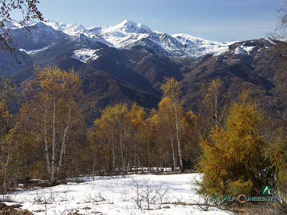 10 - Il Monte Mondolè dalla carrareccia per il Monte Alpet (2010)