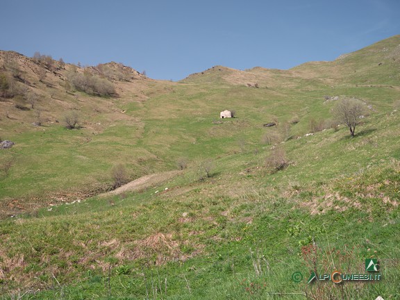14 - La conca pascoliva di Casera Vecchia (2025)