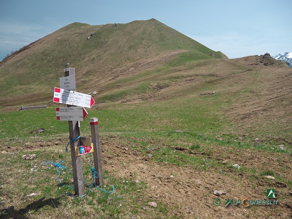 15 - La conca dell'Alpe Mezzarina (2025)