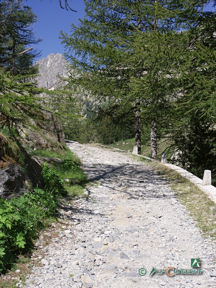 1 - La rotabile ex militare che si addentra nel Vallon de Valmasque (2009)