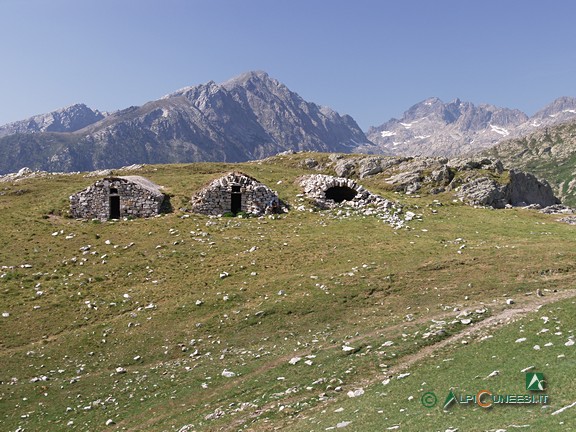 7 - Le trune all'imbocco del Replat du Sabion (2009)