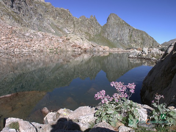 7 - Il Lago di Vernasca (2020)