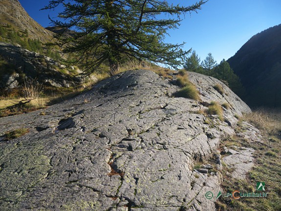 2 - Le rocce montonate nei pressi del bivio per la Vacherie de Valmasque (2013)