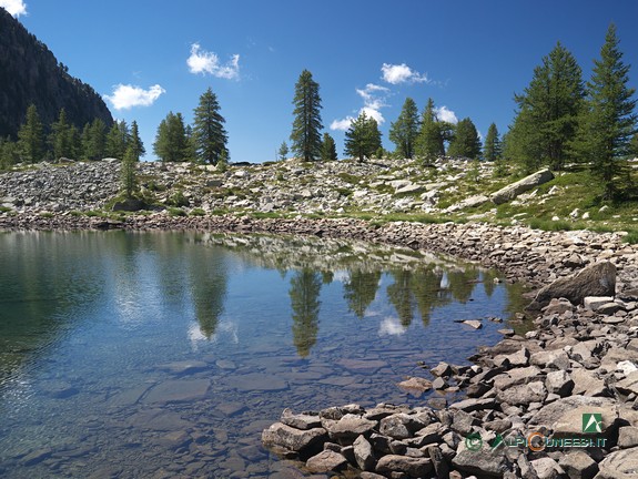 10 - Radi larici circondano parte del Lac de Tavels (2020)