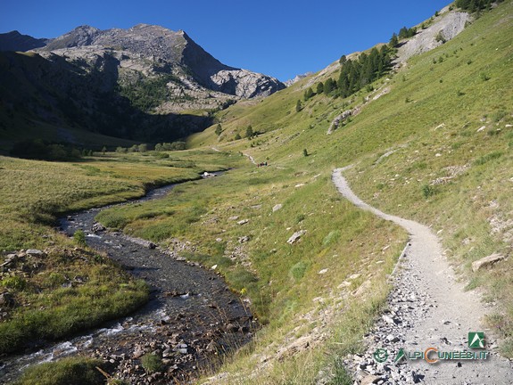 1 - L'ampio sentiero che risale la Val Fourane (2020)